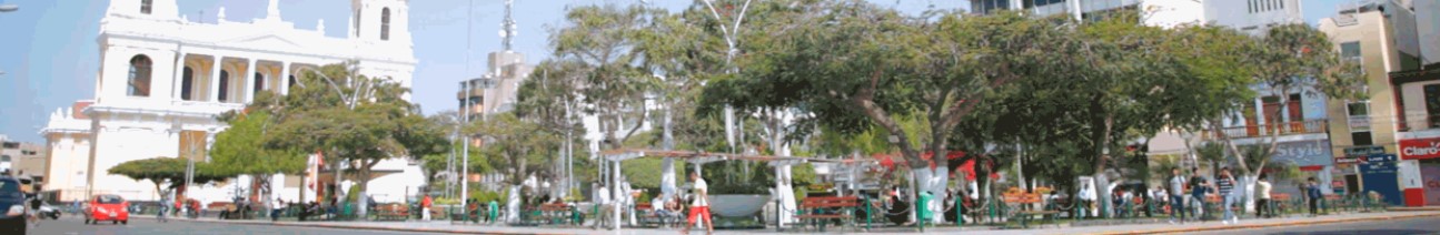 Lambayeque - Motupe - El Arrozal